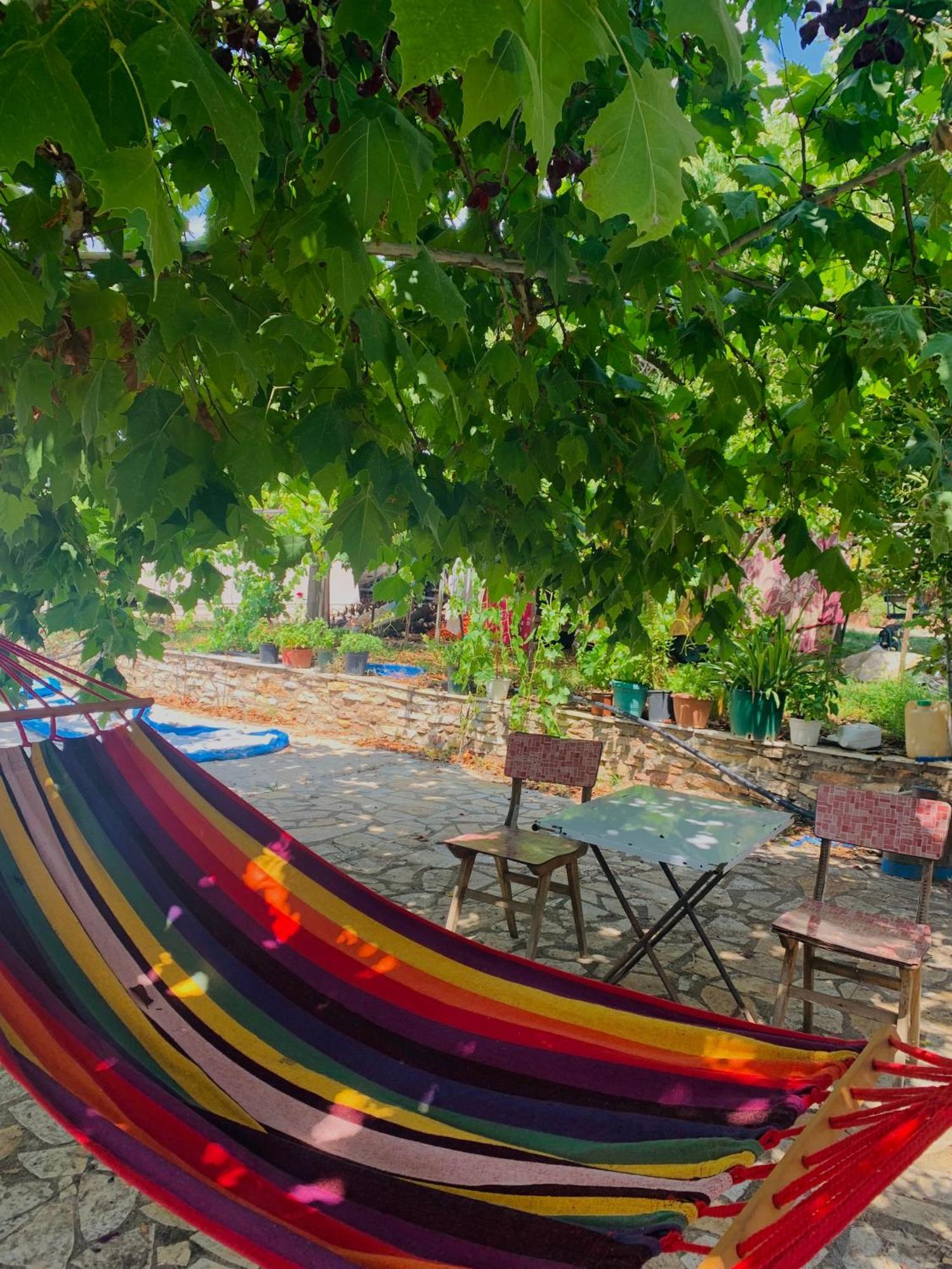 Апартаменти Bokas Exotic House Tragana  Екстер'єр фото